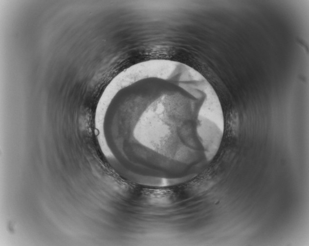 X0000103900663200810171615