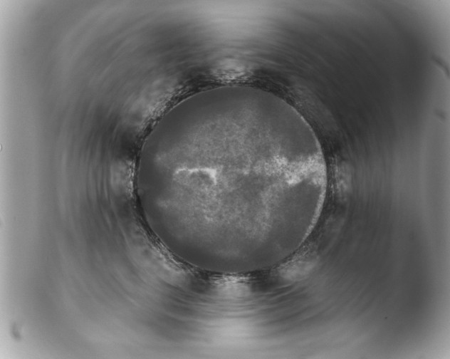 X0000103900664200810171615