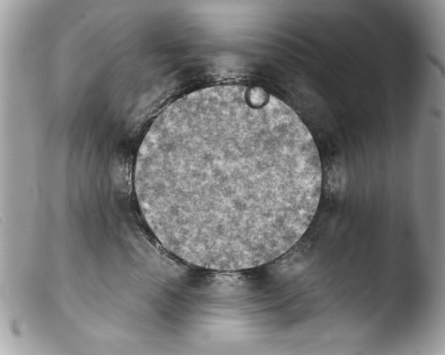 X0000103900666200810171615