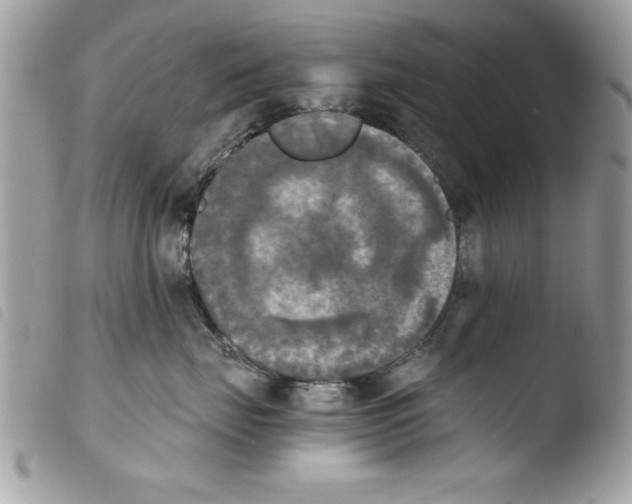 X0000103900671200810171615