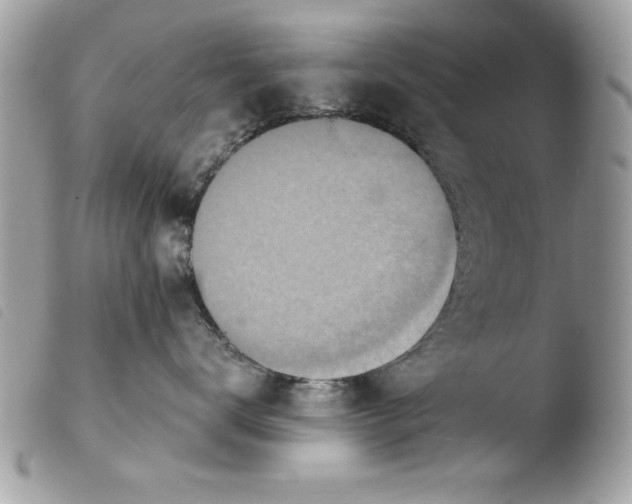 X0000103900672200810171615