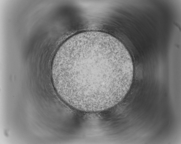 X0000103900673200810171615