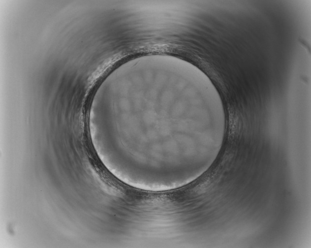 X0000103900674200810171615