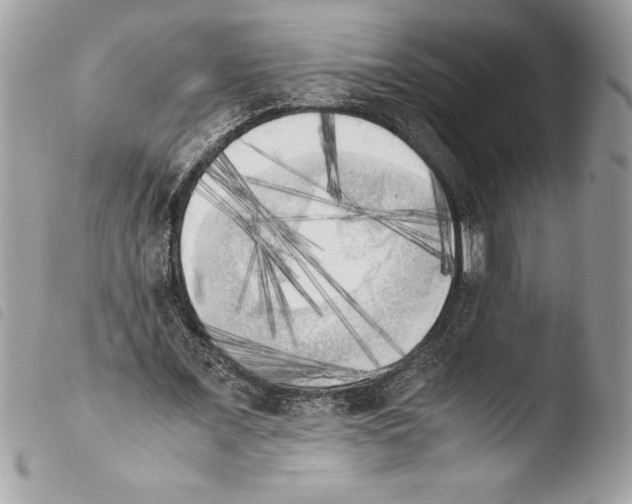 X0000103900675200810171615