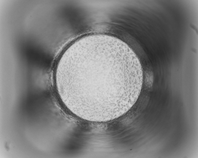 X0000103900676200810171615