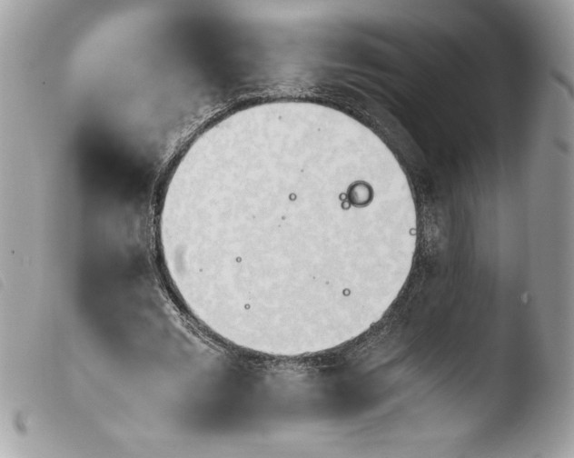 X0000103900677200810171615