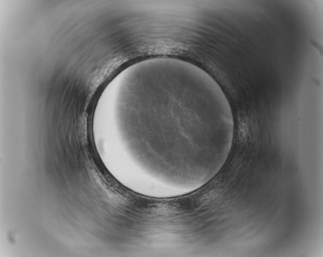 X0000103900678200810171615