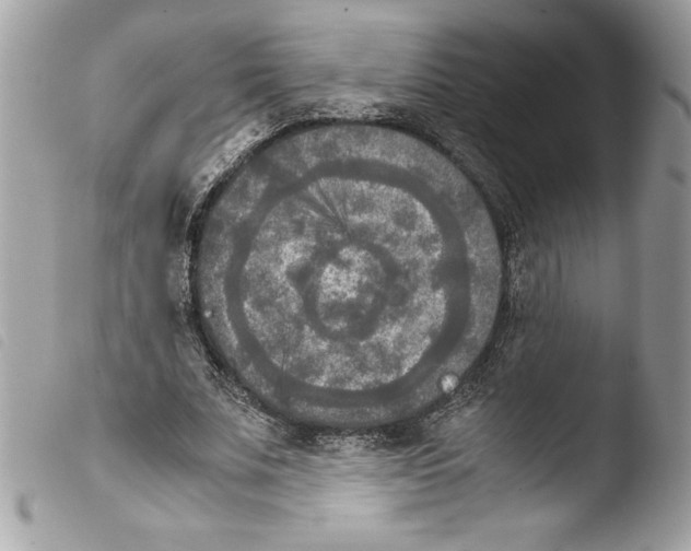 X0000103900679200810171615