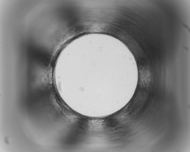 X0000103900680200810171614