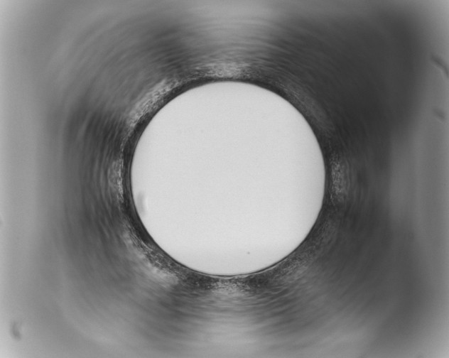 X0000103900682200810171614