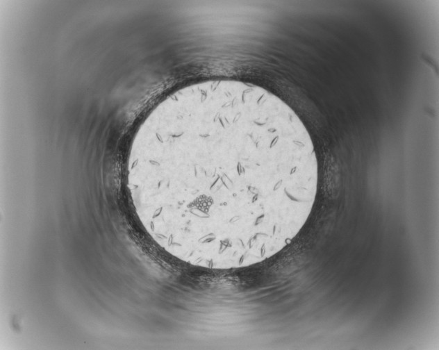 X0000103900683200810171614