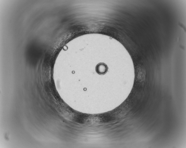 X0000103900685200810171614