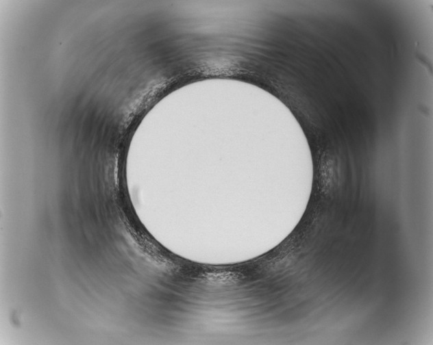 X0000103900686200810171614