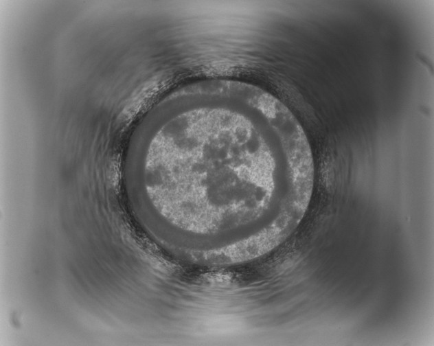 X0000103900687200810171614