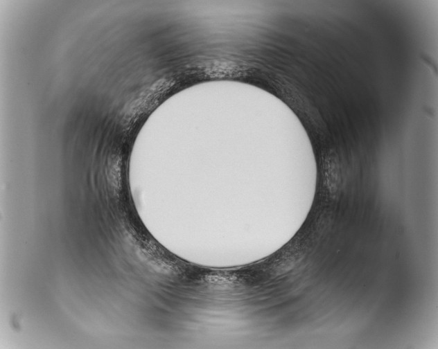 X0000103900690200810171614