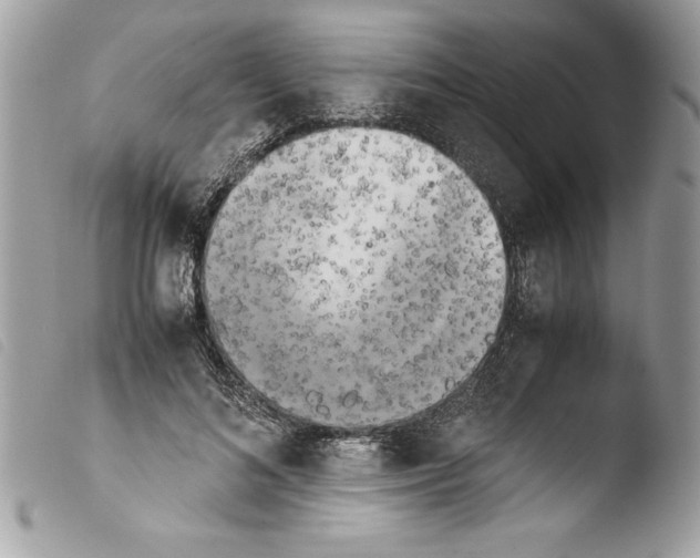 X0000103900692200810171614