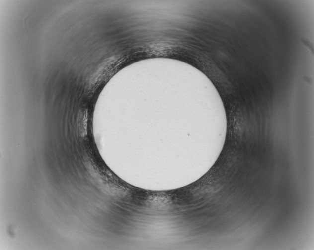 X0000103900694200810171614