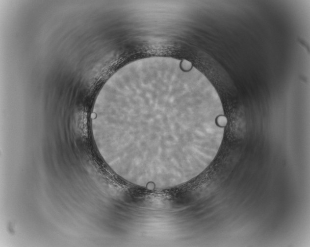 X0000103900696200810171614