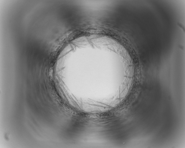 X0000103900697200810171614