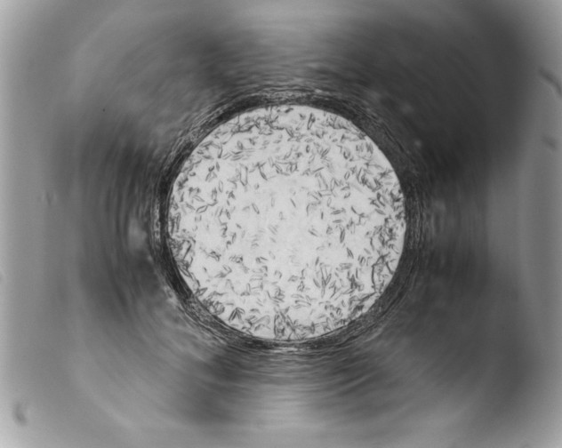 X0000103900700200810171614