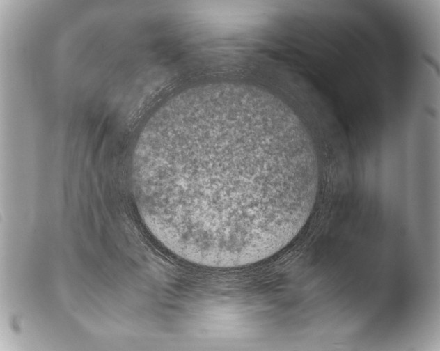 X0000103900701200810171614