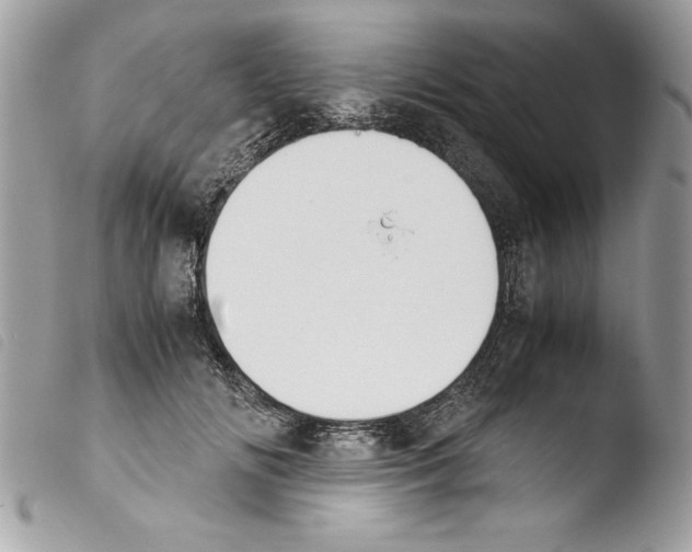 X0000103900702200810171614