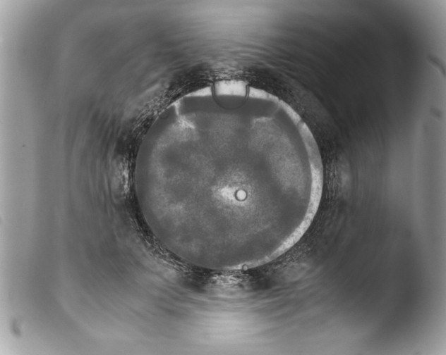 X0000103900703200810171614