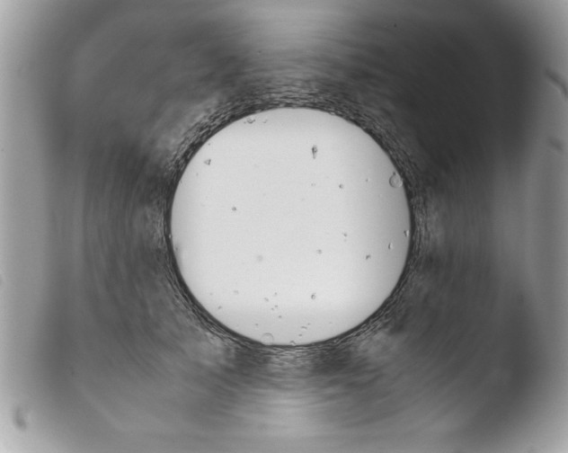 X0000103900705200810171614