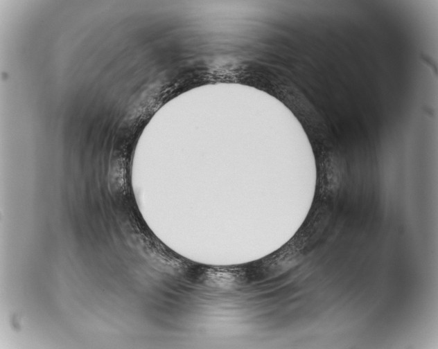 X0000103900706200810171614