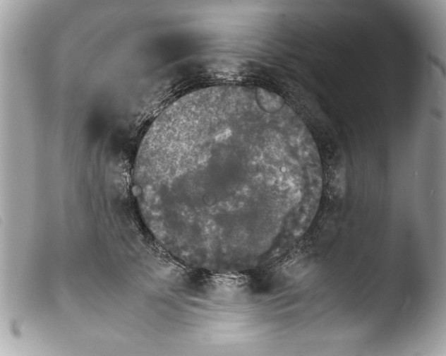 X0000103900707200810171614