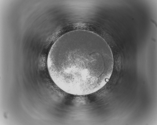 X0000103900708200810171614