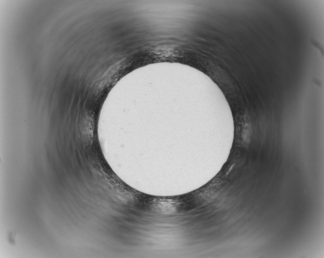 X0000103900710200810171614