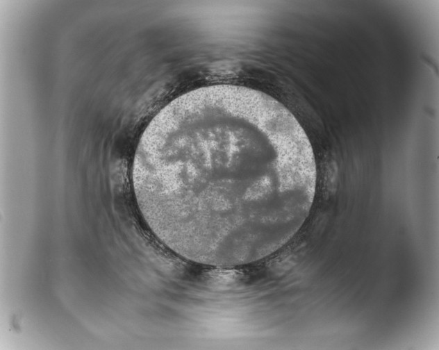 X0000103900711200810171614