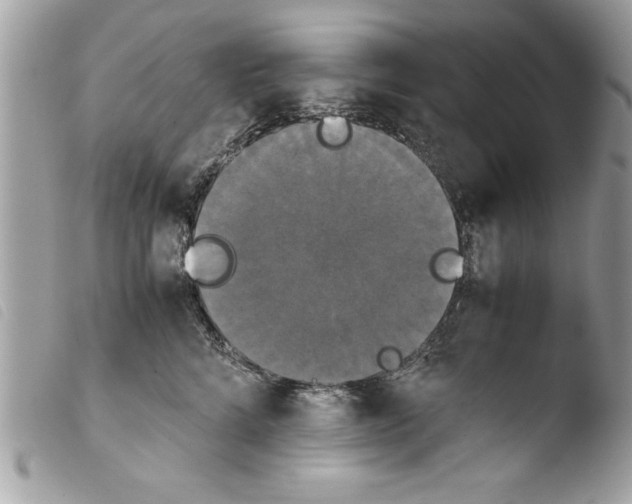 X0000103900712200810171614