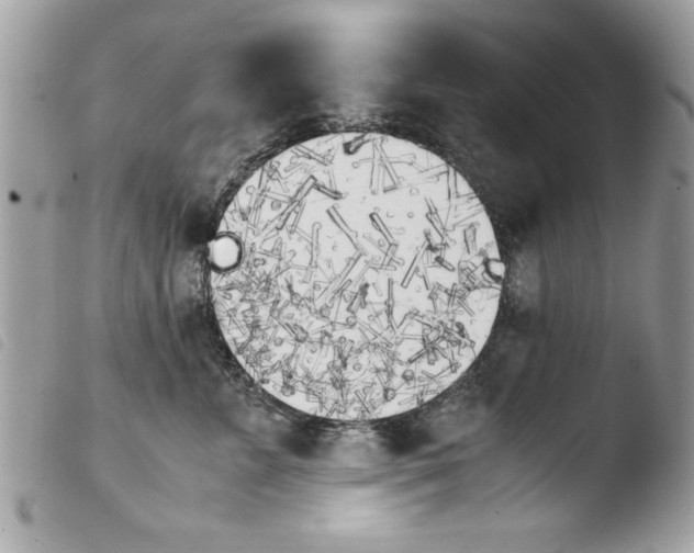 X0000103900715200810171614