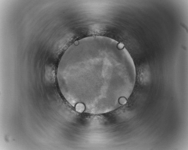 X0000103900716200810171614