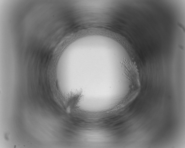 X0000103900717200810171614