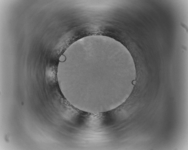 X0000103900720200810171614