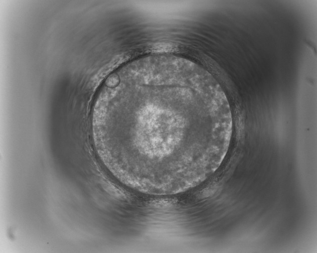 X0000103900721200810171613