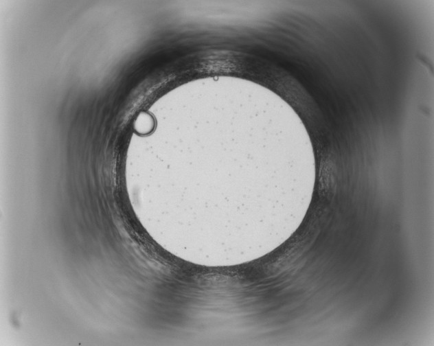 X0000103900722200810171613