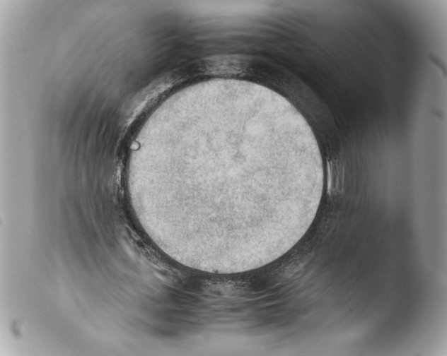 X0000103900723200810171613