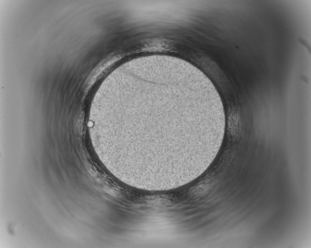 X0000103900724200810171613