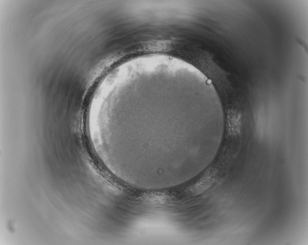 X0000103900726200810171613