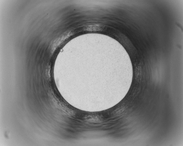 X0000103900727200810171613