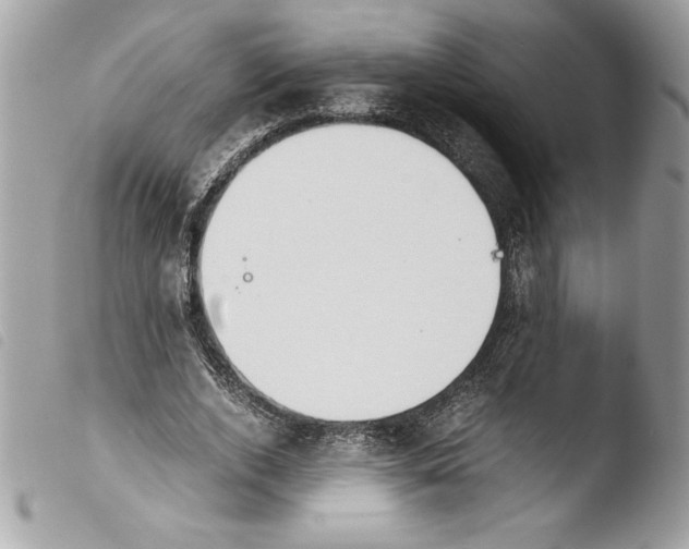 X0000103900728200810171613