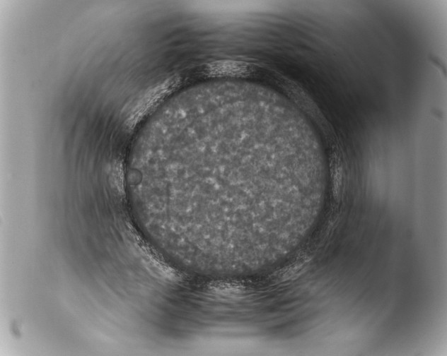 X0000103900729200810171613