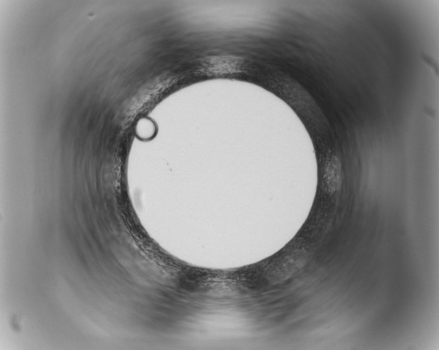 X0000103900732200810171613