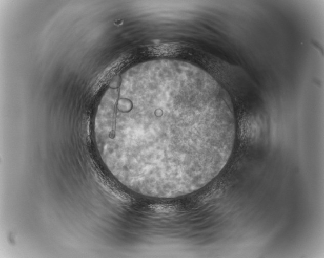 X0000103900733200810171613