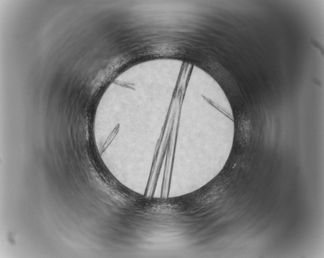 X0000103900734200810171613