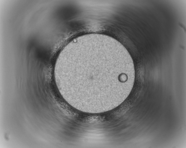 X0000103900736200810171613